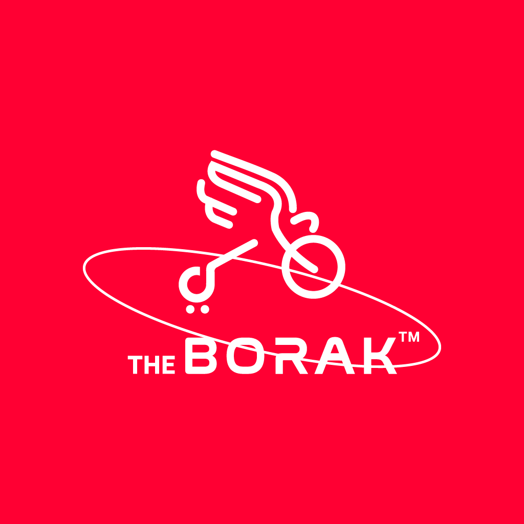 Borak services limited logo