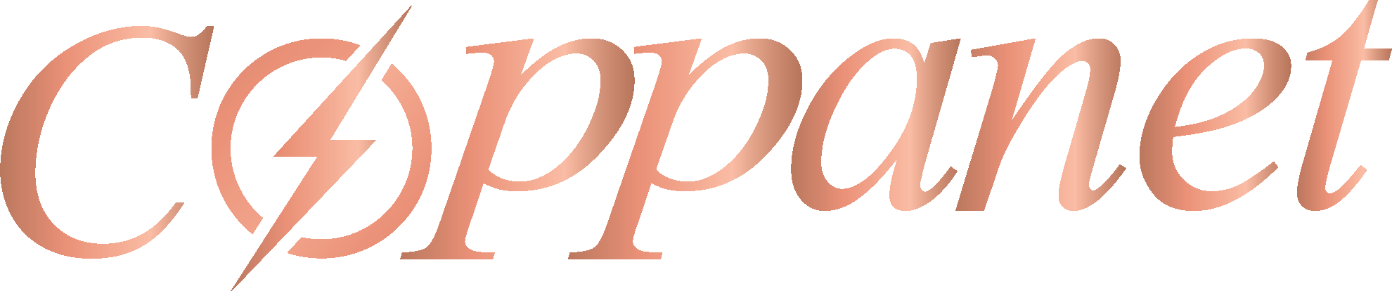 Coppanet Limited logo