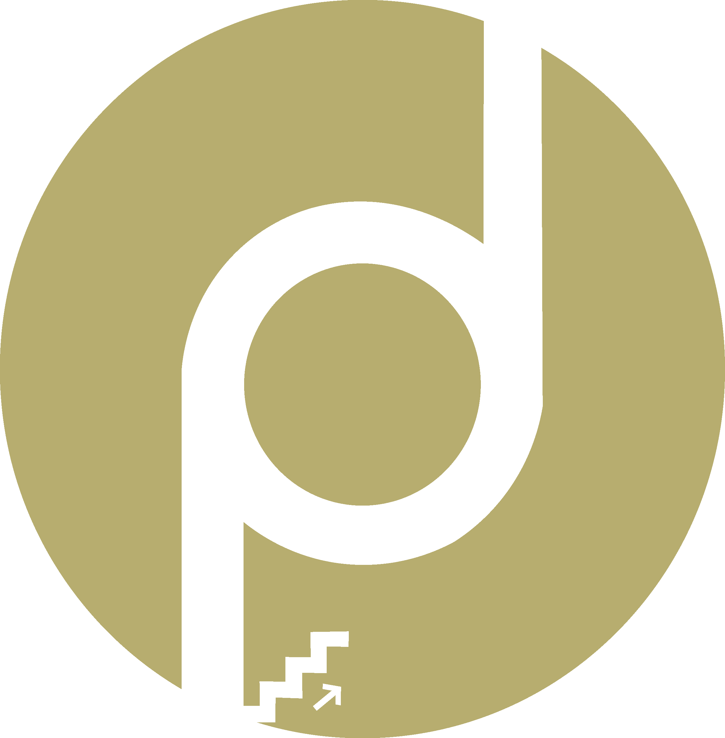 DigiPro Solutions Limited logo