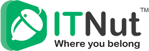 IT Nut Hosting logo