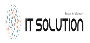 IT SOLUTION logo
