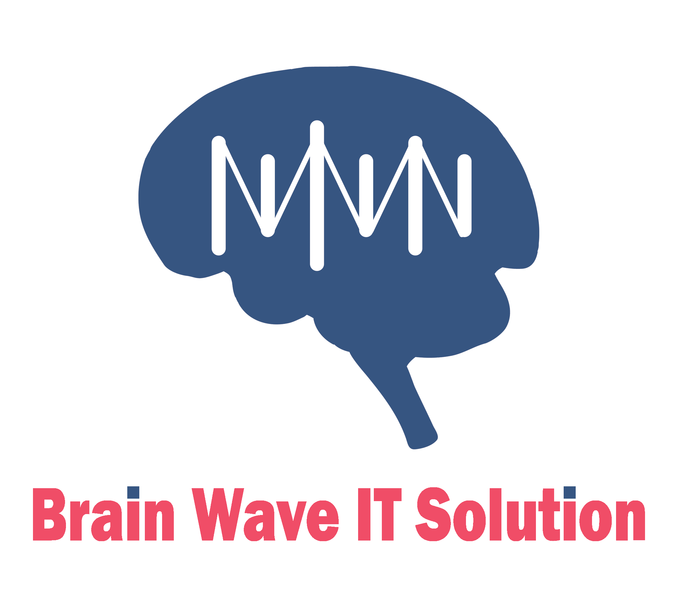 Brain Wave IT Solution logo