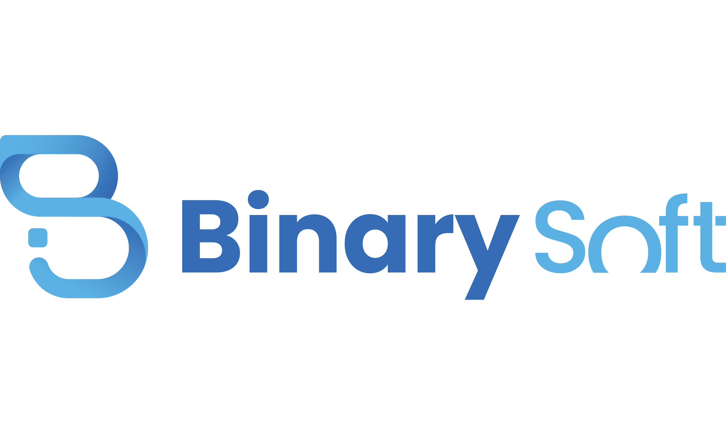 Binary Soft logo