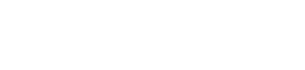 REVINR IT LTD