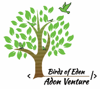 Birds of Eden logo