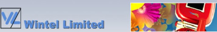 Wintel Limited logo