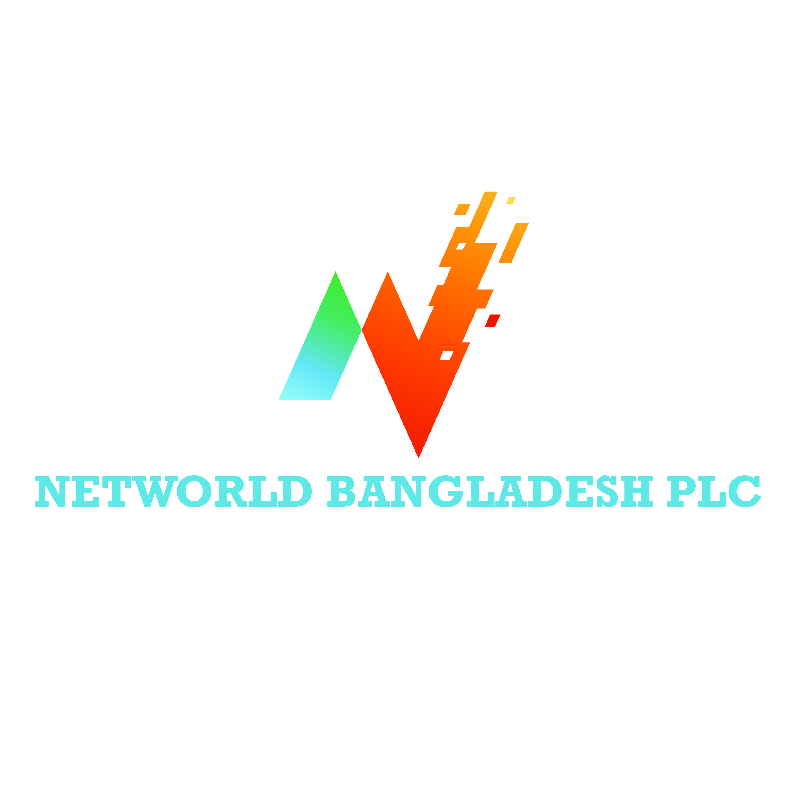 Networld Bangladesh PLC logo