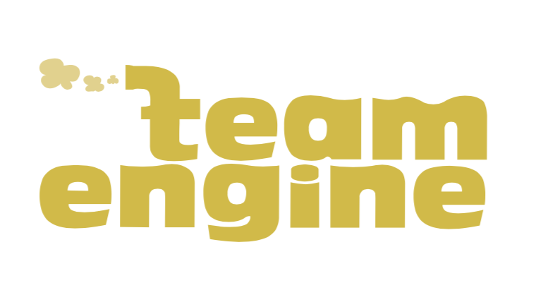 Team Engine Limited logo