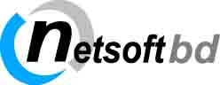 Netsoft Solution Ltd. logo
