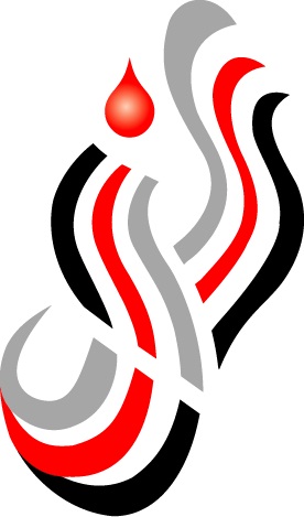 Best IT Solutions Ltd. logo