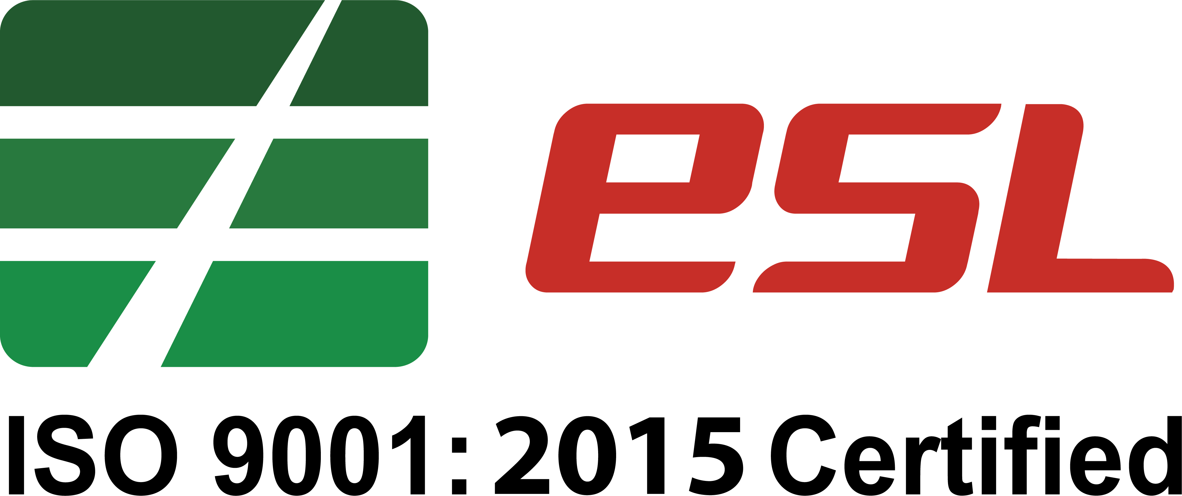 Express Systems Limited logo