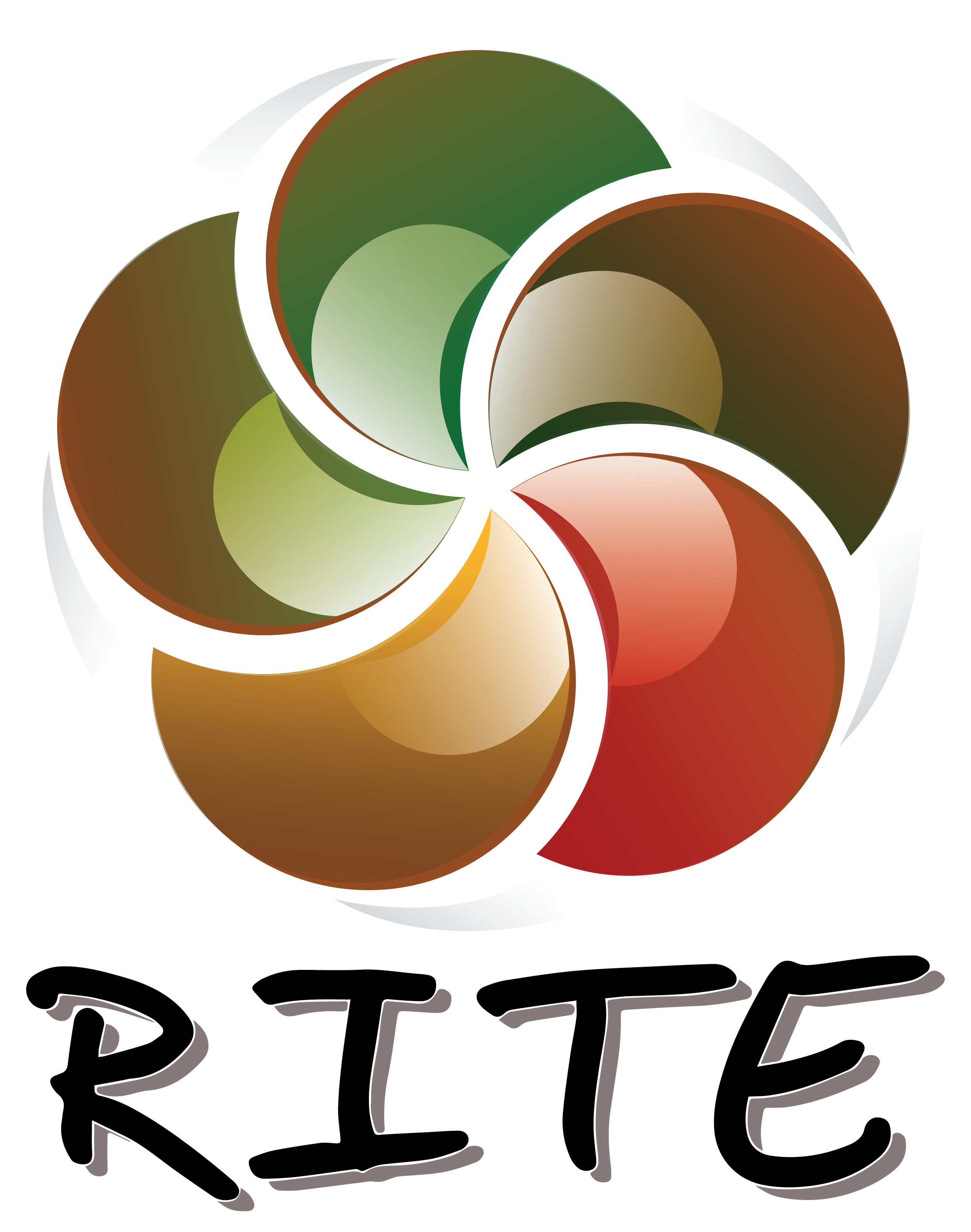 RITE Solutions Ltd. logo