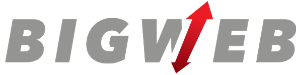 BIG WEB TECHONNOLOGIES LTD. logo