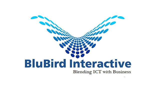 BluBird Interactive Ltd logo