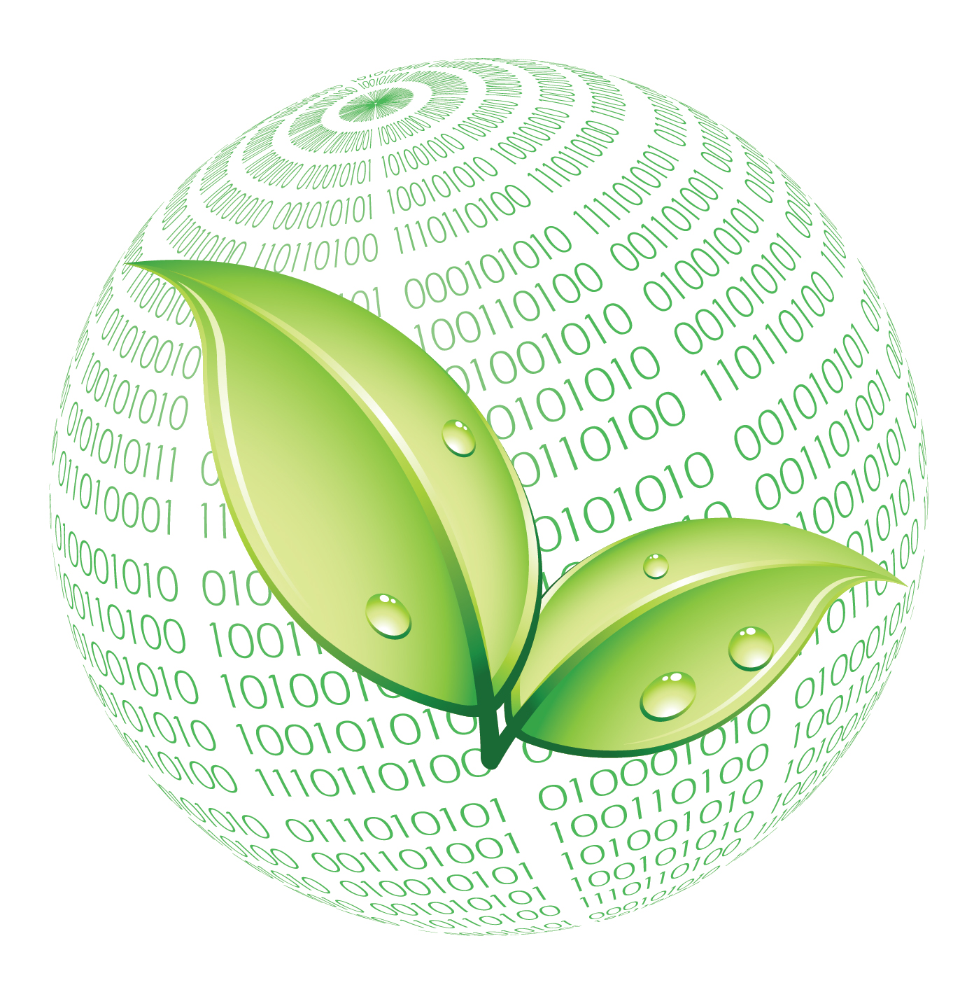 Binate Solutions Ltd. logo