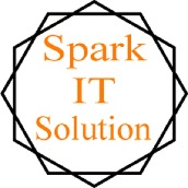 Spark IT Solution