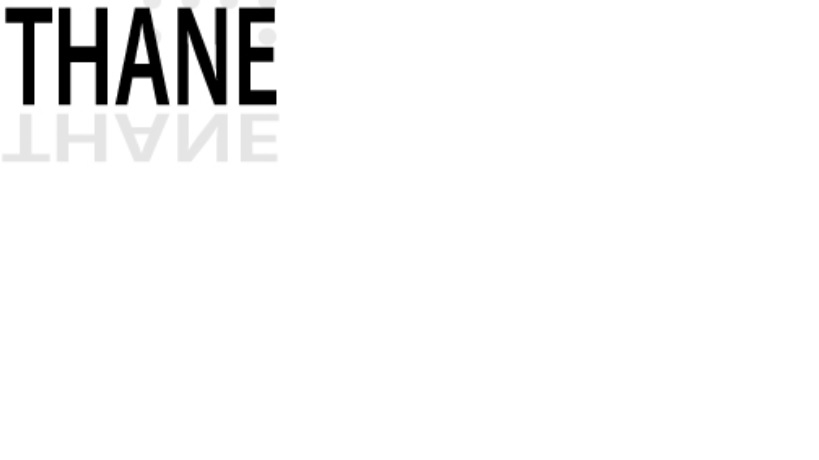 Thane Systems logo