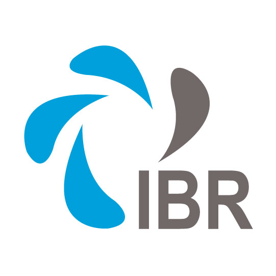 IBR Software Services and Solutions logo