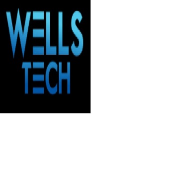 WellsTech Solutions Ltd. logo