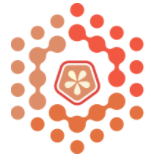 Clementine Data Solutions Ltd. logo