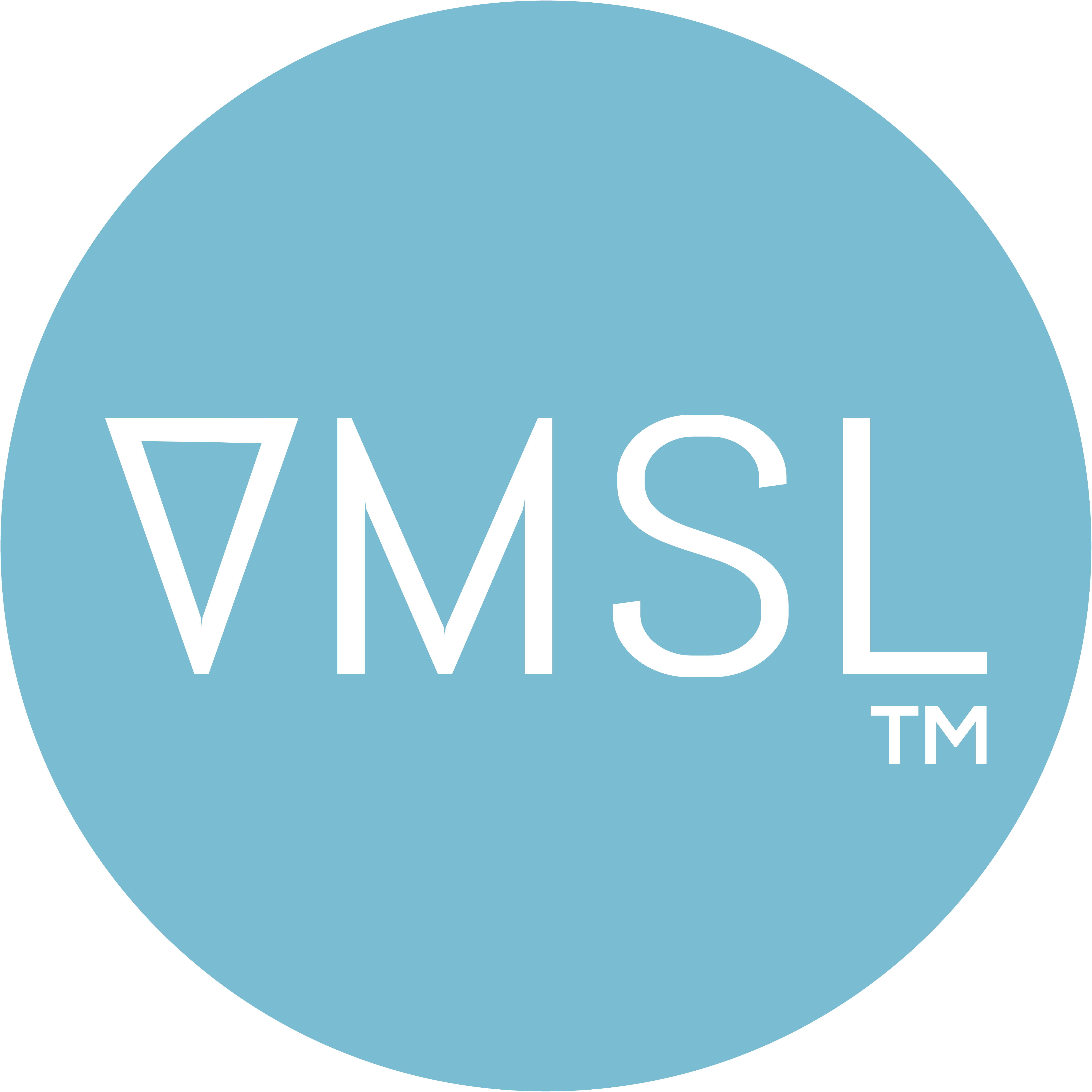 Virtual Market Solution Ltd. logo