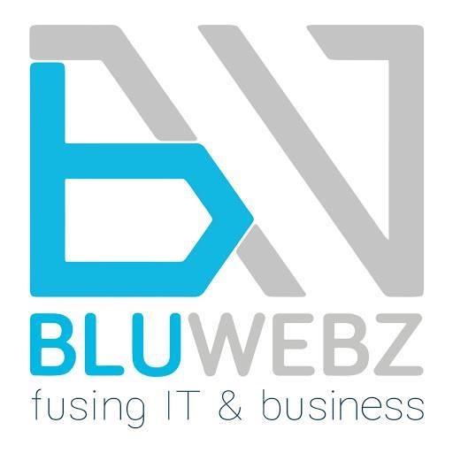 BLUWEBZ logo