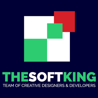 THESOFTKING LIMITED