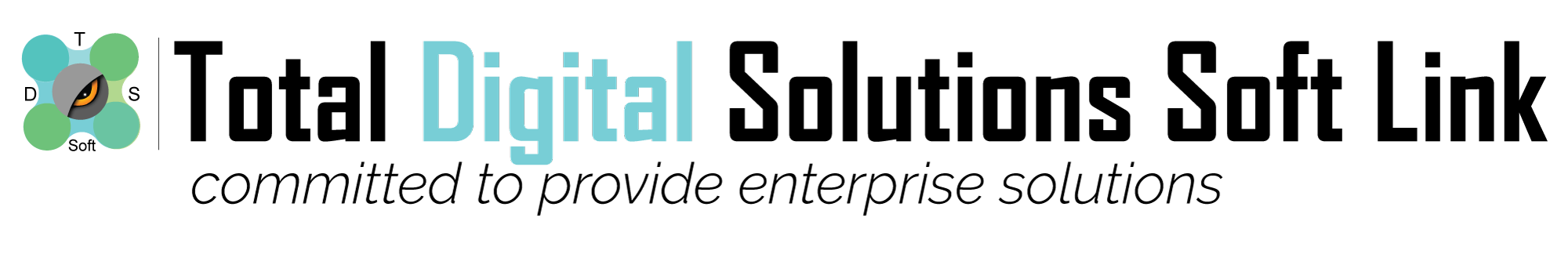 Total Digital Solutions Soft Link logo