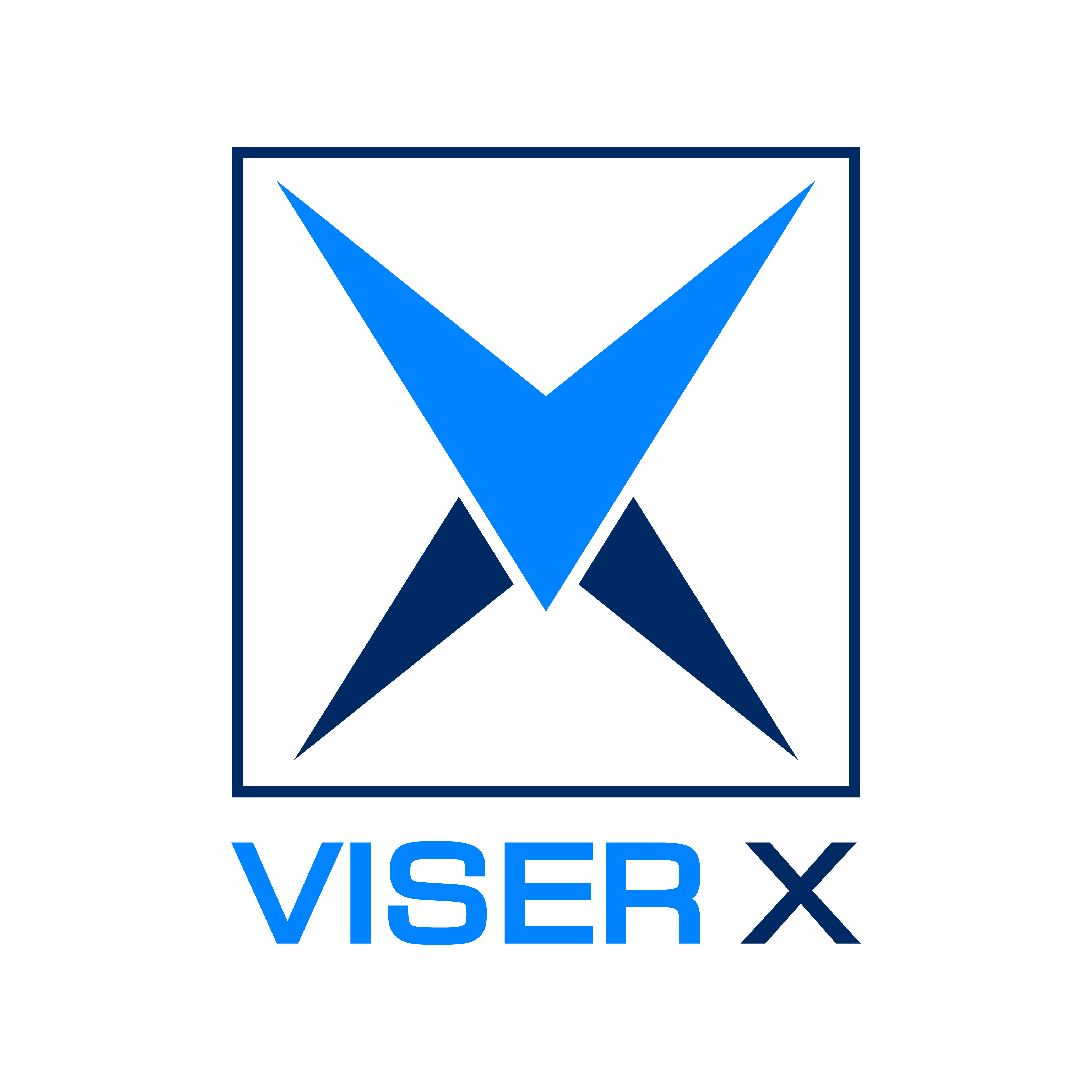 VISER X LIMITED logo