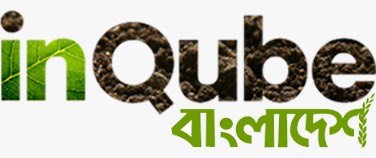 inqube Bangladesh Limited logo