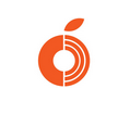 ORANGE IT LTD. logo