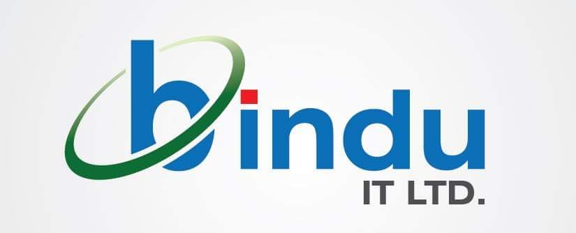 BINDU IT LIMITED logo