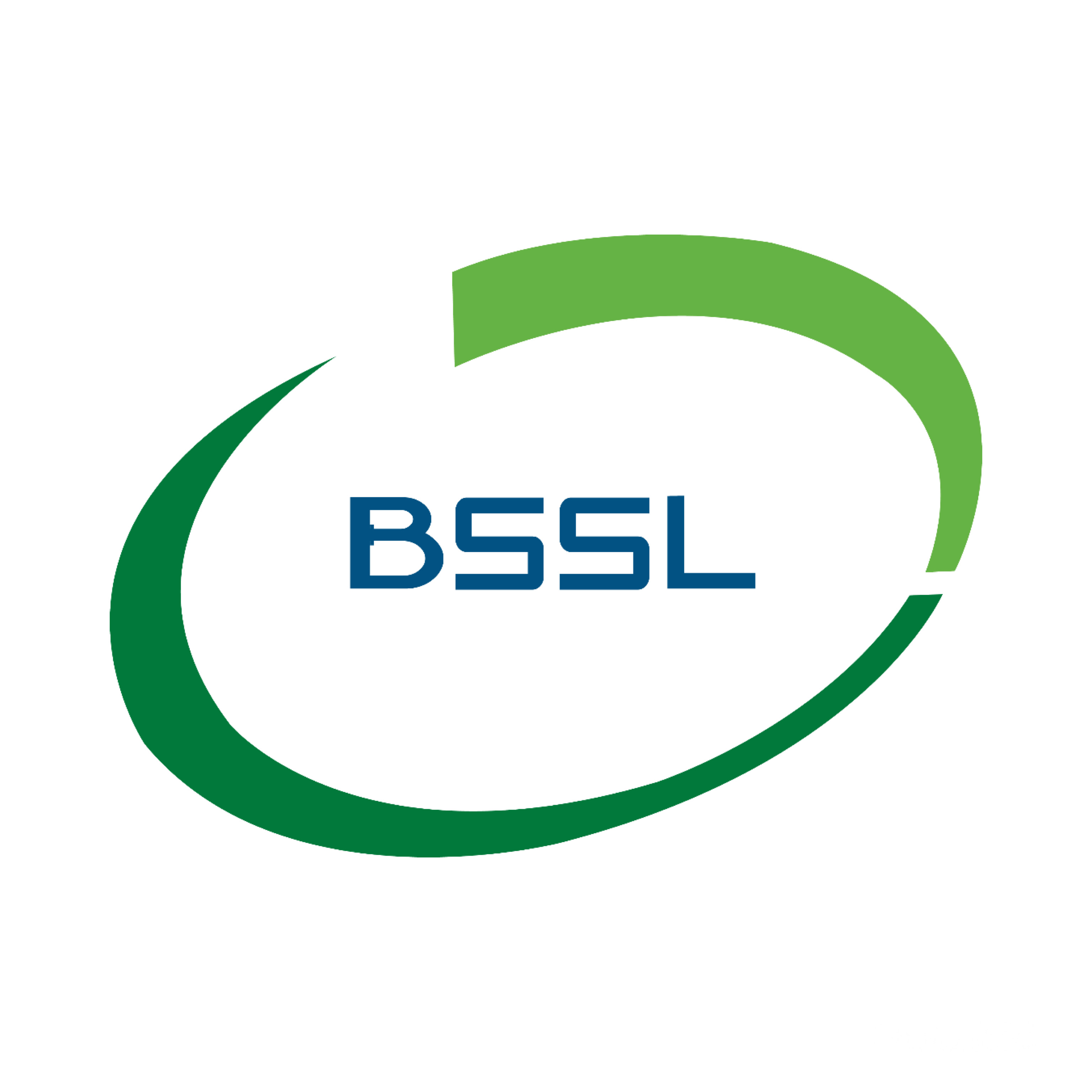 Business Software Solutions Limited logo