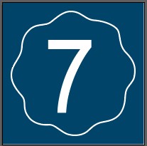 7Digital Ton Ltd. logo