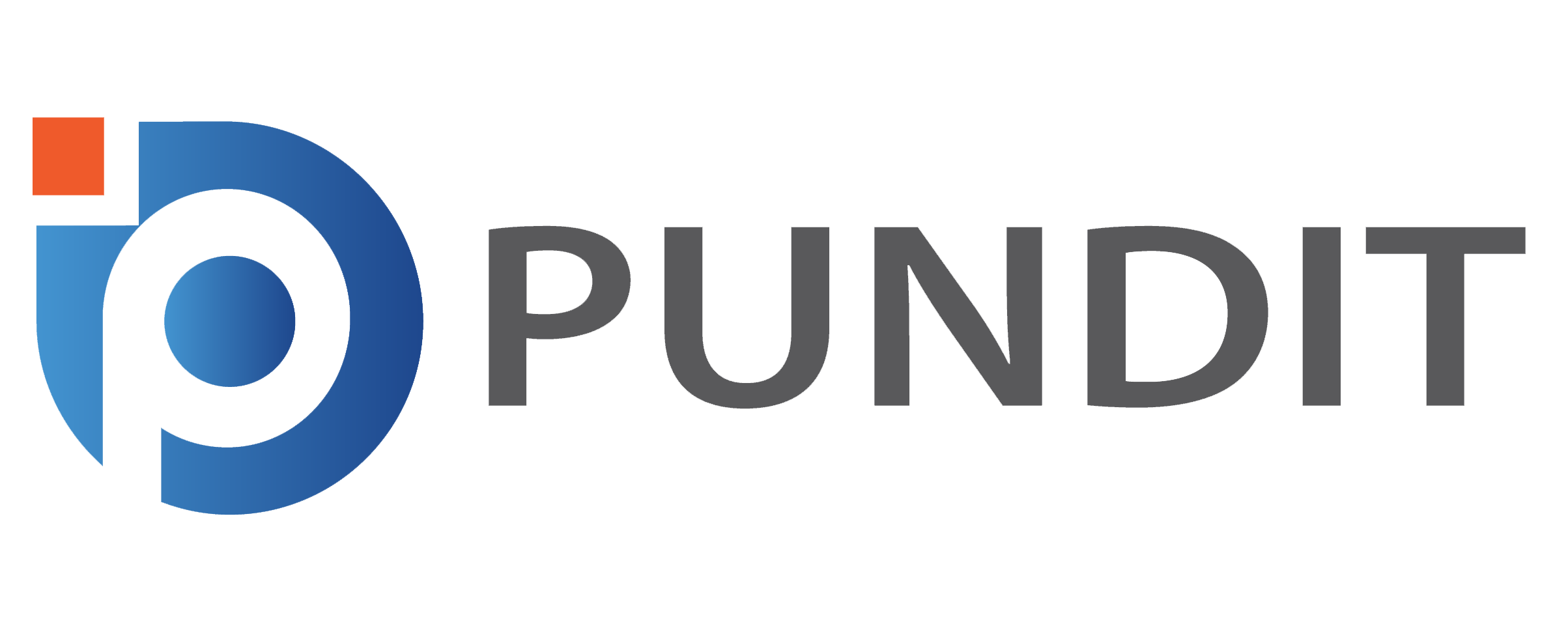 PUNDIT logo