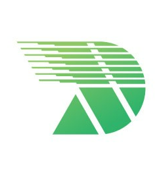 Dhorola Soft Future Technologies Ltd. logo