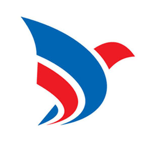 Advanced IT logo