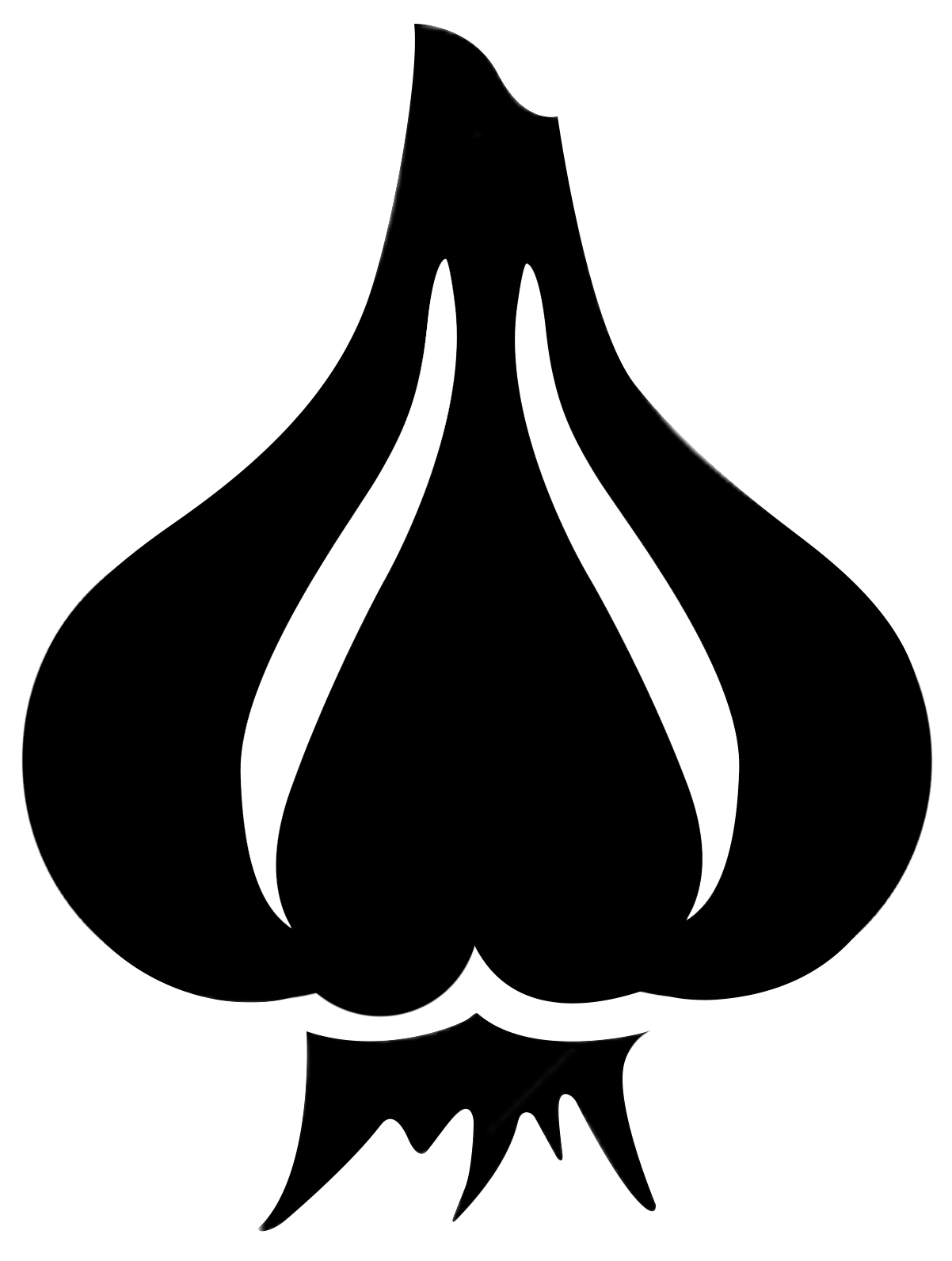 TechGarlic Limited logo