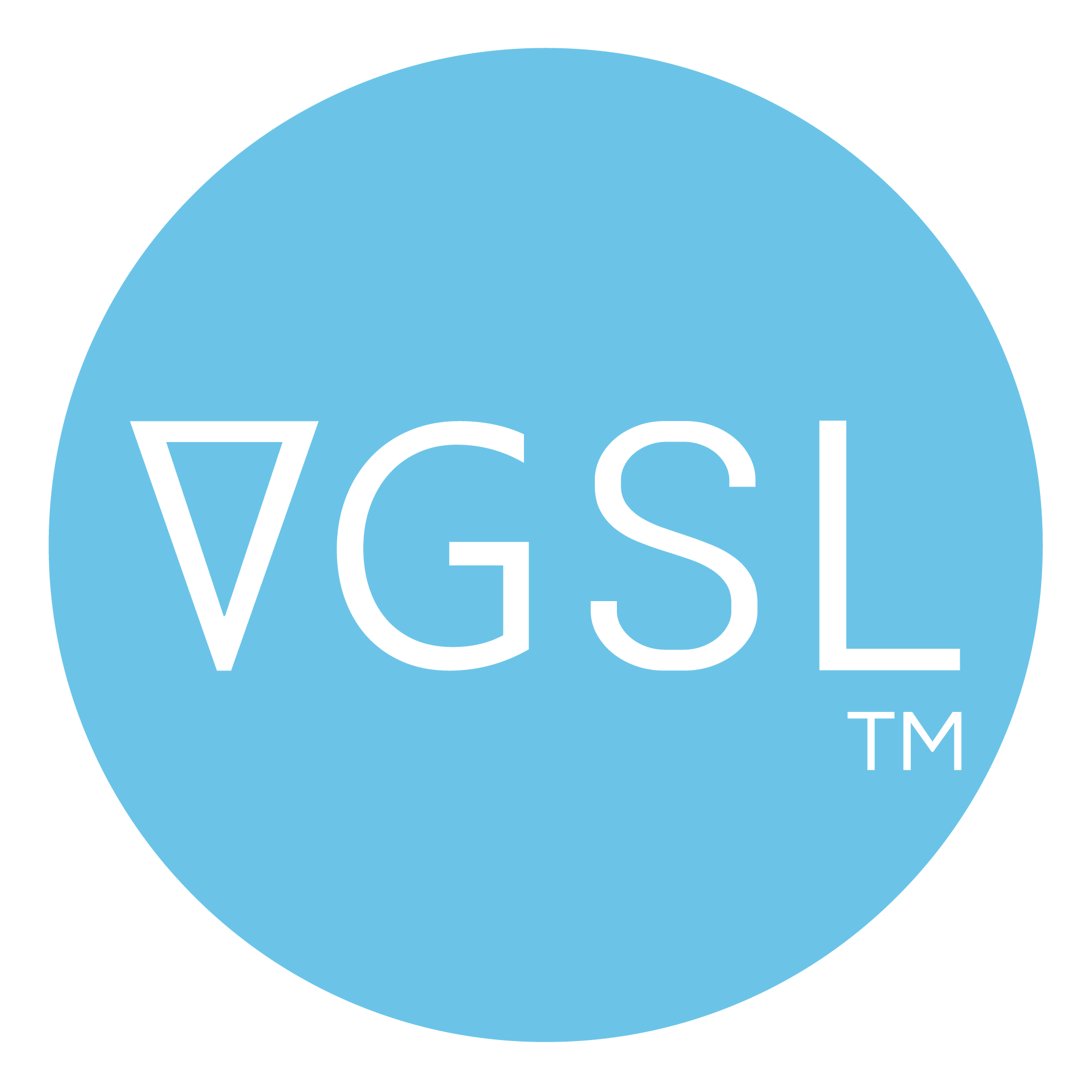 Virtual Global Services Ltd logo