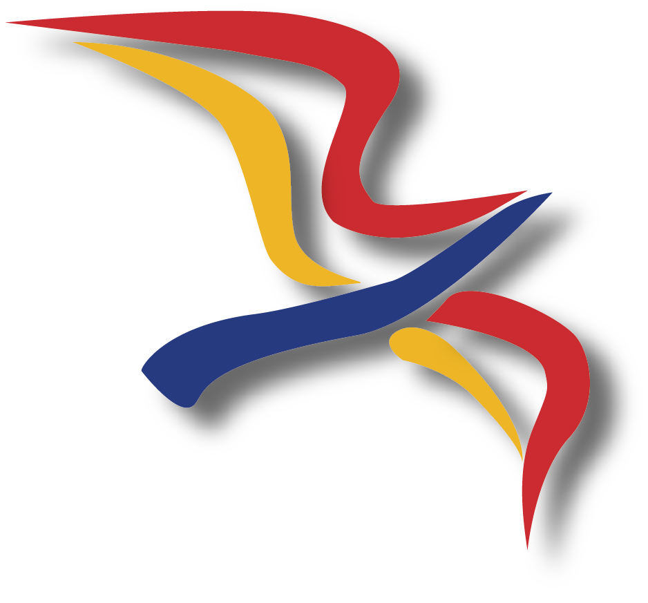 Systems & Services Limited logo
