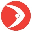CDS System & Solution Ltd logo