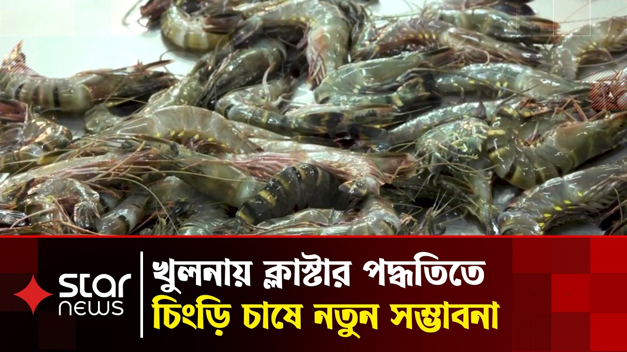 Top 10 Export Products from Bangladesh in 2026 [EPB Data]