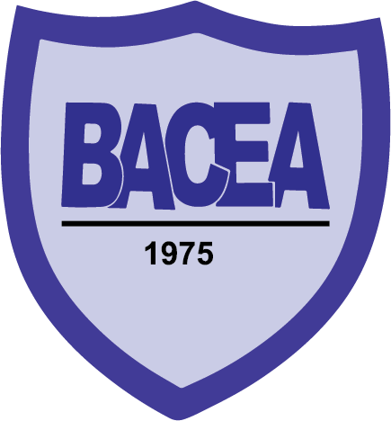 Bangladesh Association of Consulting Engineers logo