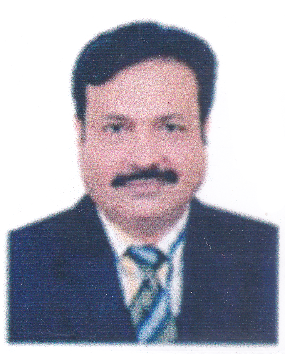 Mr. Syed Hamidul Ila