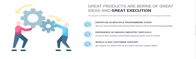 BluBird Interactive Ltd