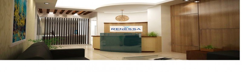Renessa Info Systems Limited