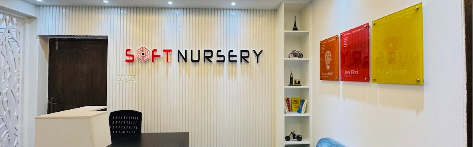 SoftNursery Ltd. — cover