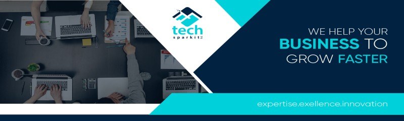 TechSparkIT Limited