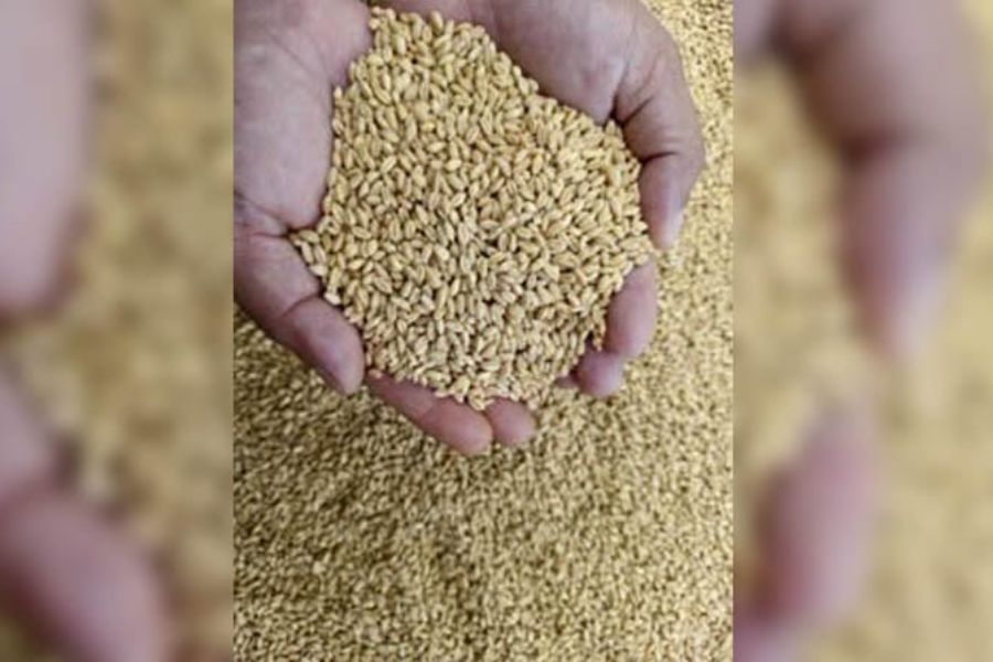 175,000 Tonnes US Wheat Arrive In Chattogram Port