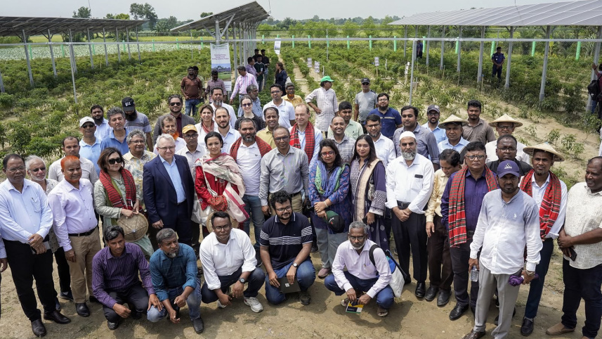 Bangladesh first grid-connected agrivoltaics pilot Chuadanga solar power agriculture August 2026